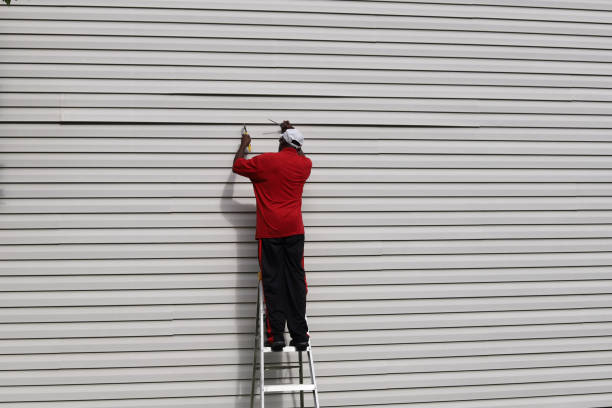 Best Siding Painting and Refinishing  in Sughter, LA